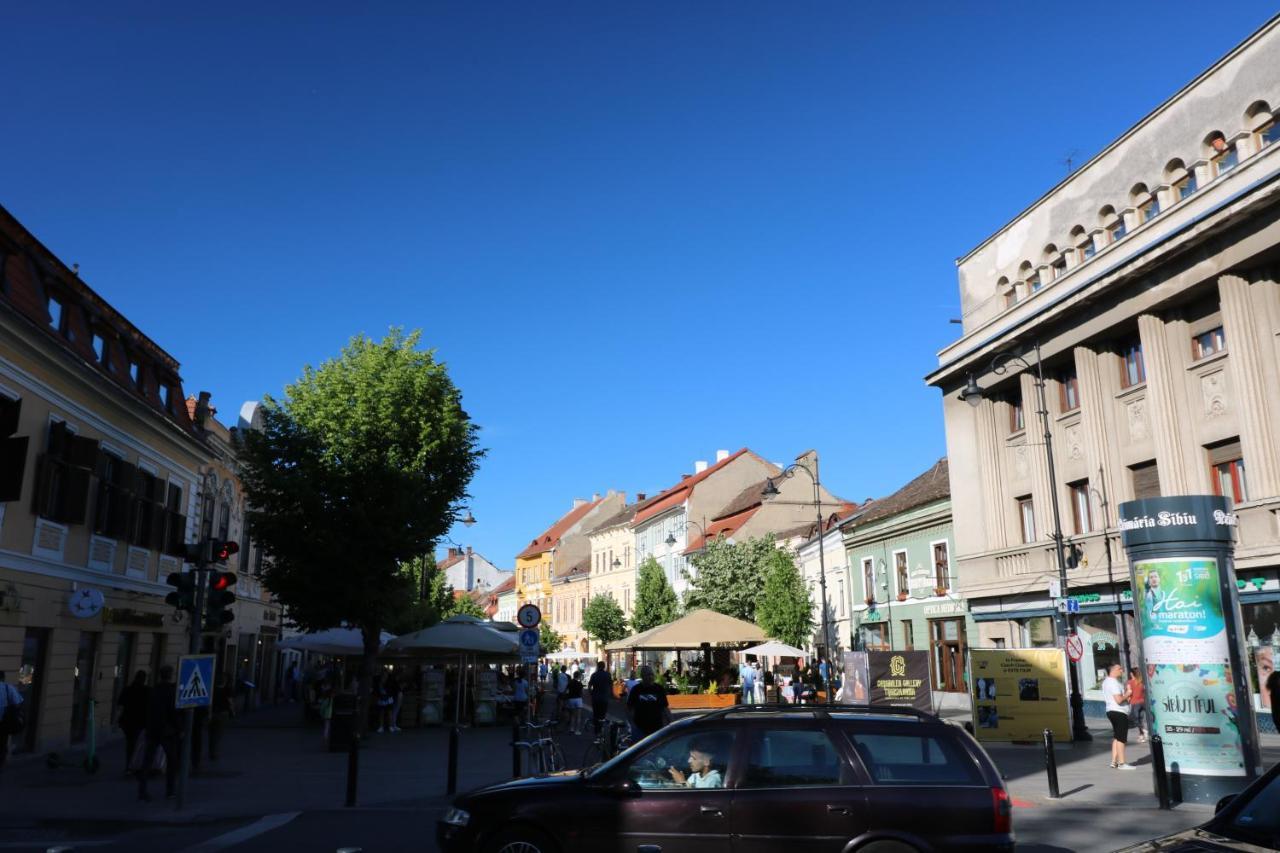 公寓 Moonlight Sibiu
